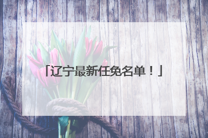 辽宁最新任免名单！