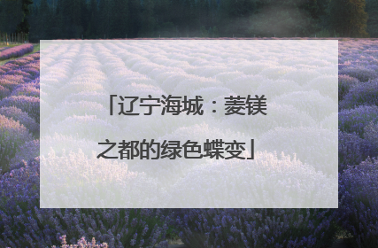 辽宁海城：菱镁之都的绿色蝶变