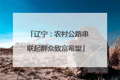 辽宁：农村公路串联起群众致富希望