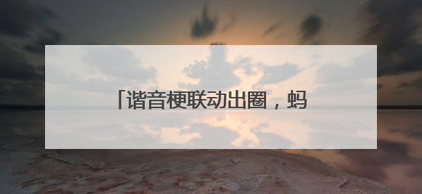 谐音梗联动出圈，蚂蚁财富“指数+”让理财更“加”生活化