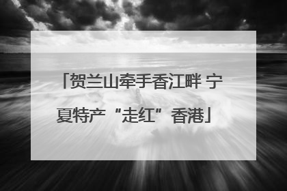 贺兰山牵手香江畔 宁夏特产“走红”香港