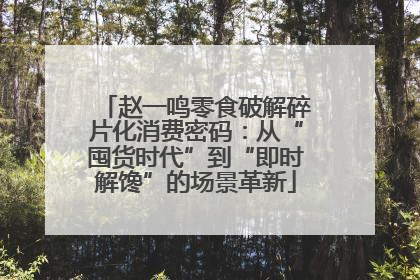 赵一鸣零食破解碎片化消费密码：从“囤货时代”到“即时解馋”的场景革新