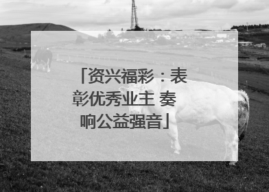 资兴福彩：表彰优秀业主 奏响公益强音