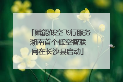 赋能低空飞行服务 湖南首个低空智联网在长沙县启动