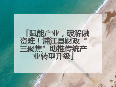 赋能产业，破解融资难！浦江县财政“三聚焦”助推传统产业转型升级