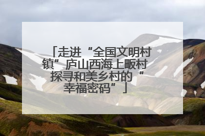 走进“全国文明村镇”庐山西海上畈村 探寻和美乡村的“幸福密码”