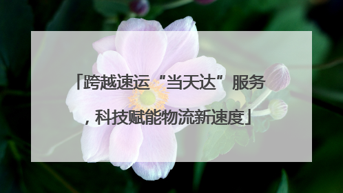 跨越速运“当天达”服务，科技赋能物流新速度