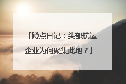 蹲点日记：头部航运企业为何聚集此地？