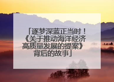 逐梦深蓝正当时！《关于推动海洋经济高质量发展的提案》背后的故事