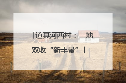 道真河西村：一地双收“新丰景”