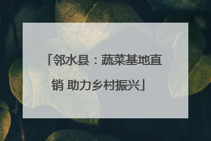 邻水县：蔬菜基地直销 助力乡村振兴