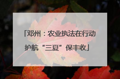 邓州：农业执法在行动 护航“三夏”保丰收