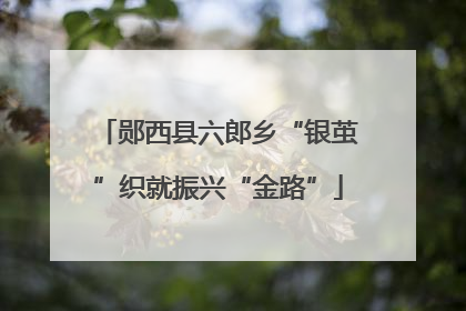 郧西县六郎乡“银茧”织就振兴“金路”