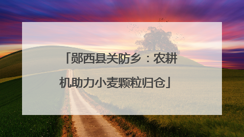 郧西县关防乡：农耕机助力小麦颗粒归仓