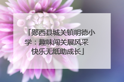 郧西县城关镇明德小学：趣味闯关展风采 快乐无纸助成长