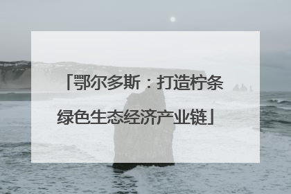 鄂尔多斯：打造柠条绿色生态经济产业链