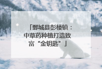鄄城县彭楼镇：中草药种植打造致富“金钥匙”