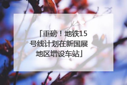 重磅！地铁15号线计划在新国展地区增设车站