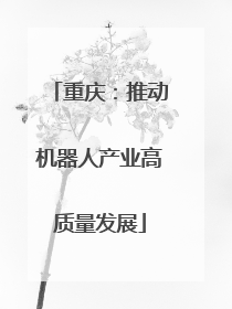 重庆：推动机器人产业高质量发展