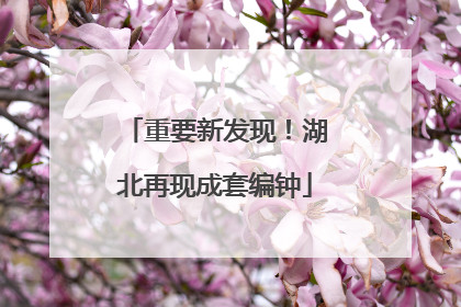 重要新发现！湖北再现成套编钟