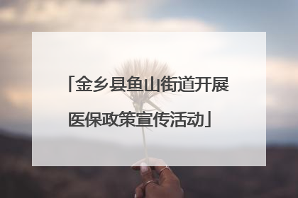 金乡县鱼山街道开展医保政策宣传活动