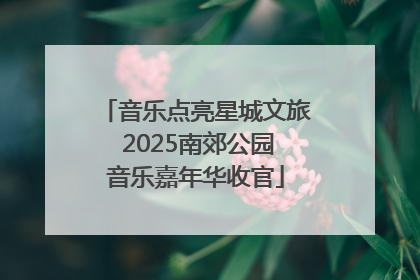 音乐点亮星城文旅 2025南郊公园音乐嘉年华收官