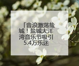 音浪激荡盐城！盐城大洋湾音乐节吸引5.4万乐迷共赴狂欢