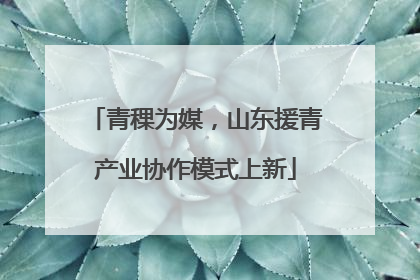 青稞为媒，山东援青产业协作模式上新