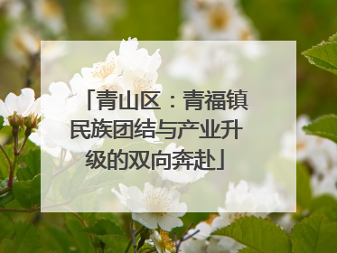 青山区：青福镇民族团结与产业升级的双向奔赴