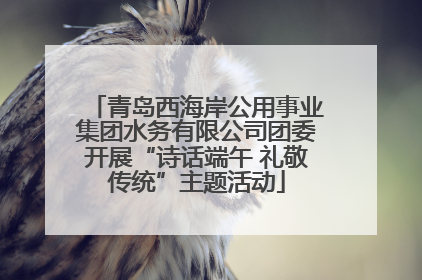 青岛西海岸公用事业集团水务有限公司团委开展“诗话端午 礼敬传统”主题活动