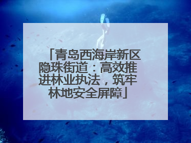 青岛西海岸新区隐珠街道：高效推进林业执法，筑牢林地安全屏障