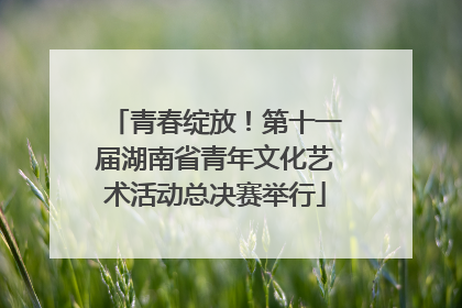 青春绽放！第十一届湖南省青年文化艺术活动总决赛举行