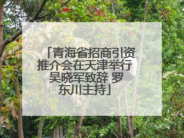 青海省招商引资推介会在天津举行 吴晓军致辞 罗东川主持