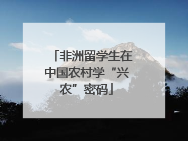非洲留学生在中国农村学“兴农”密码