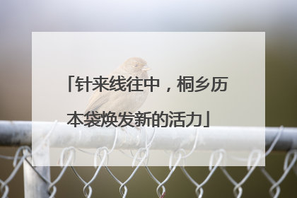 针来线往中，桐乡历本袋焕发新的活力
