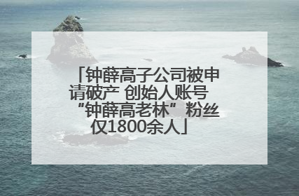 钟薛高子公司被申请破产 创始人账号“钟薛高老林”粉丝仅1800余人