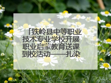 铁岭县中等职业技术专业学校开展职业启蒙教育送课到校活动——扎染艺术与电商营销走进熊官屯镇中心小学