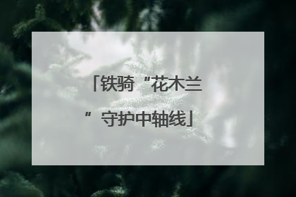 铁骑“花木兰”守护中轴线
