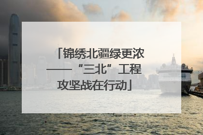 锦绣北疆绿更浓——“三北”工程攻坚战在行动