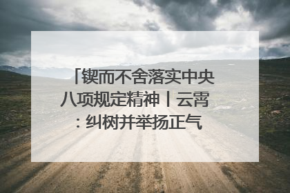 锲而不舍落实中央八项规定精神丨云霄：纠树并举扬正气 作风建设谱新章