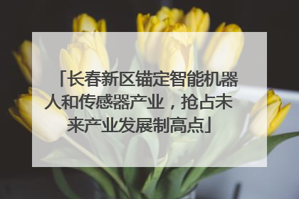 长春新区锚定智能机器人和传感器产业，抢占未来产业发展制高点