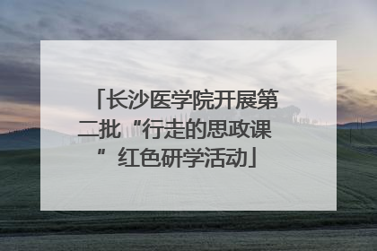 长沙医学院开展第二批“行走的思政课”红色研学活动