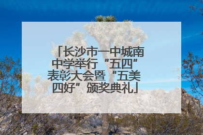 长沙市一中城南中学举行“五四”表彰大会暨“五美四好”颁奖典礼