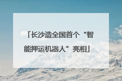 长沙造全国首个“智能押运机器人”亮相