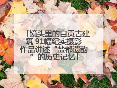 镜头里的自贡古建筑 91幅纪实摄影作品讲述“盐都遗韵”的历史记忆
