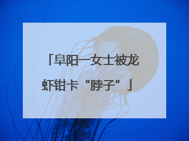 阜阳一女士被龙虾钳卡“脖子”