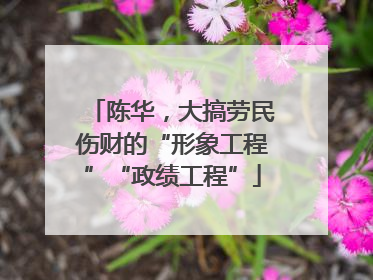 陈华，大搞劳民伤财的“形象工程”“政绩工程”