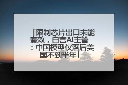 限制芯片出口未能奏效，白宫AI主管：中国模型仅落后美国不到半年