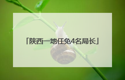 陕西一地任免4名局长