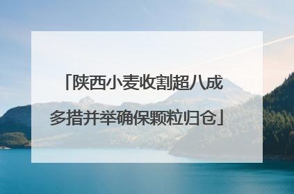陕西小麦收割超八成 多措并举确保颗粒归仓